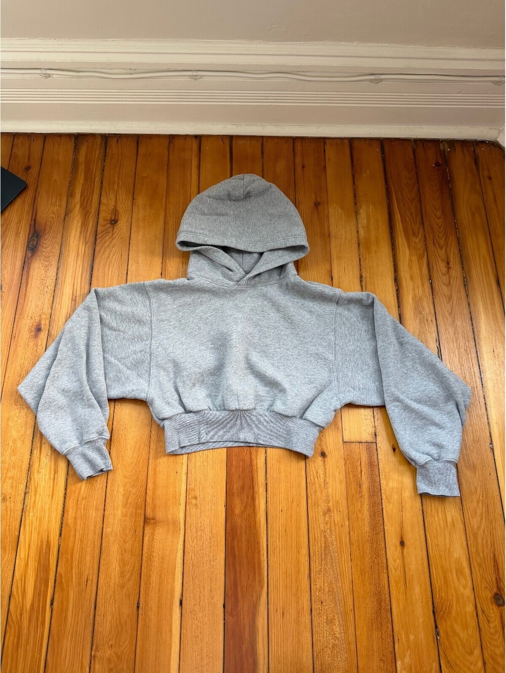 TNA aritzia cropped gray grey hoodie XS sweater cozy AF
